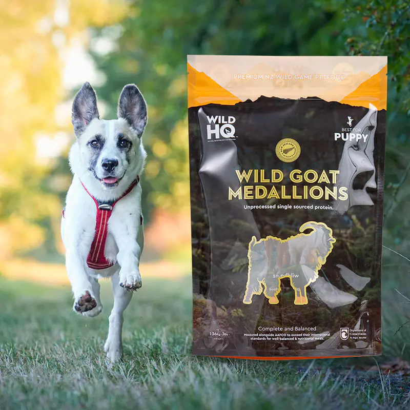 Színes, környezetbarát digitális nyomtatás, alacsony tasakos kávézacskó